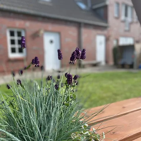 Kleene Helene Appartement *