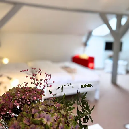 Kleene Helene Apartment